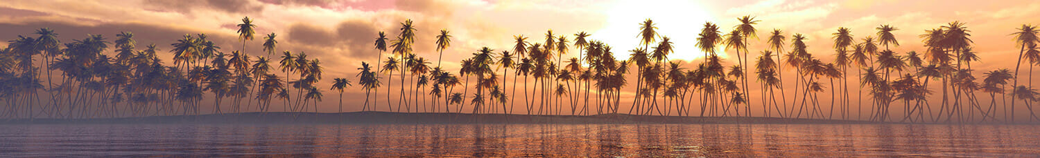 Palm trees over the water, a panorama of palm trees in a row at