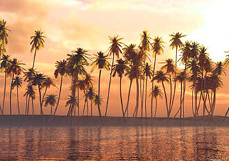 Palm trees over the water, a panorama of palm trees in a row at